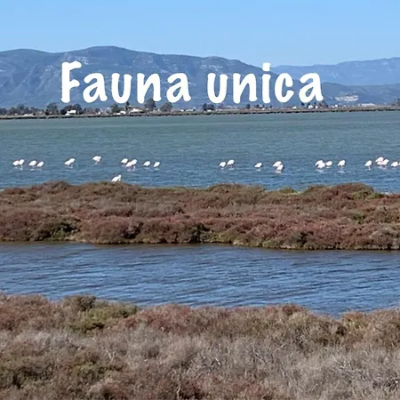 Сasa de vacaciones Casa De Sueños Benasha *